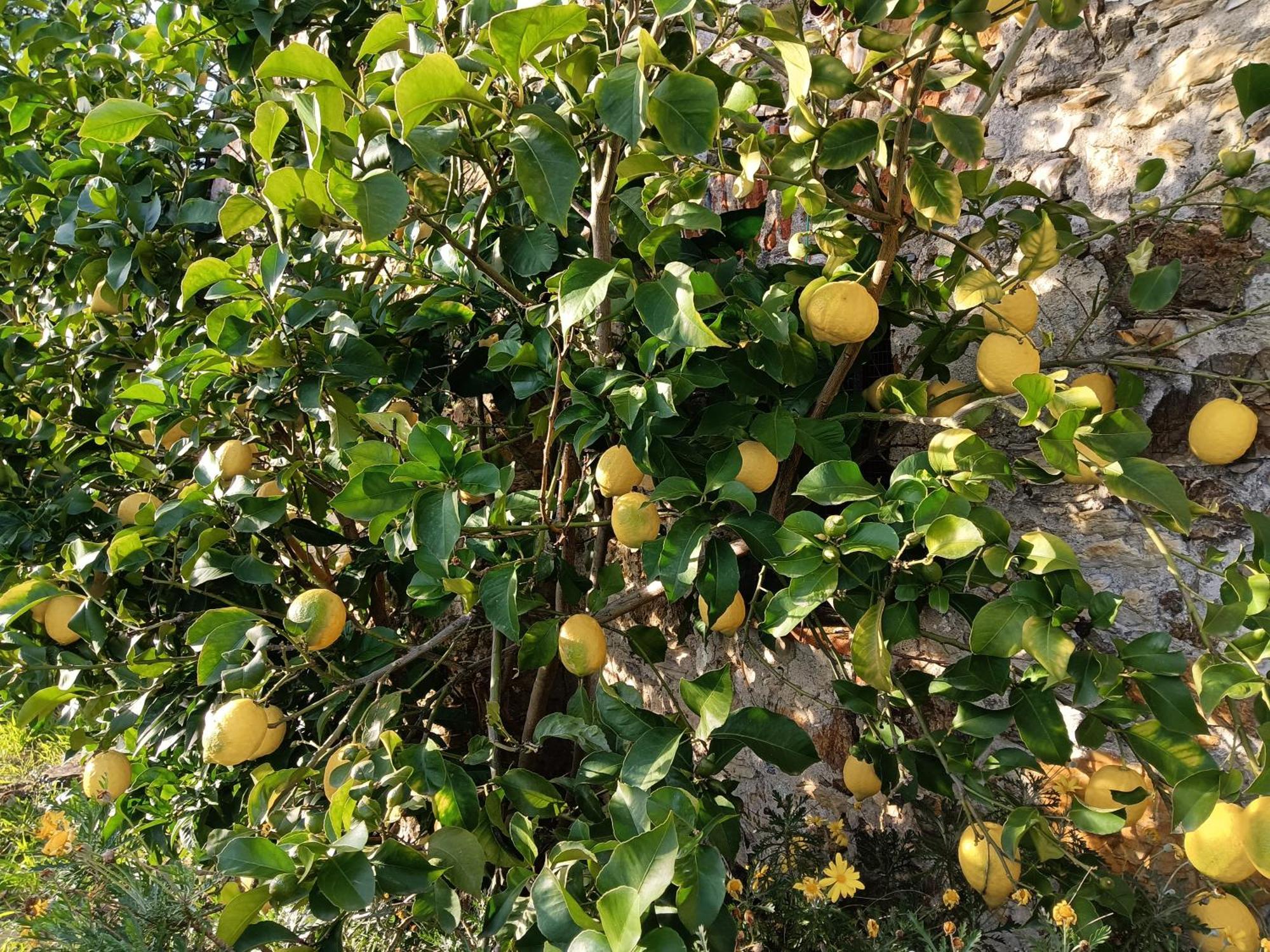 Il Fontolo Villa Ponzano Superiore Buitenkant foto