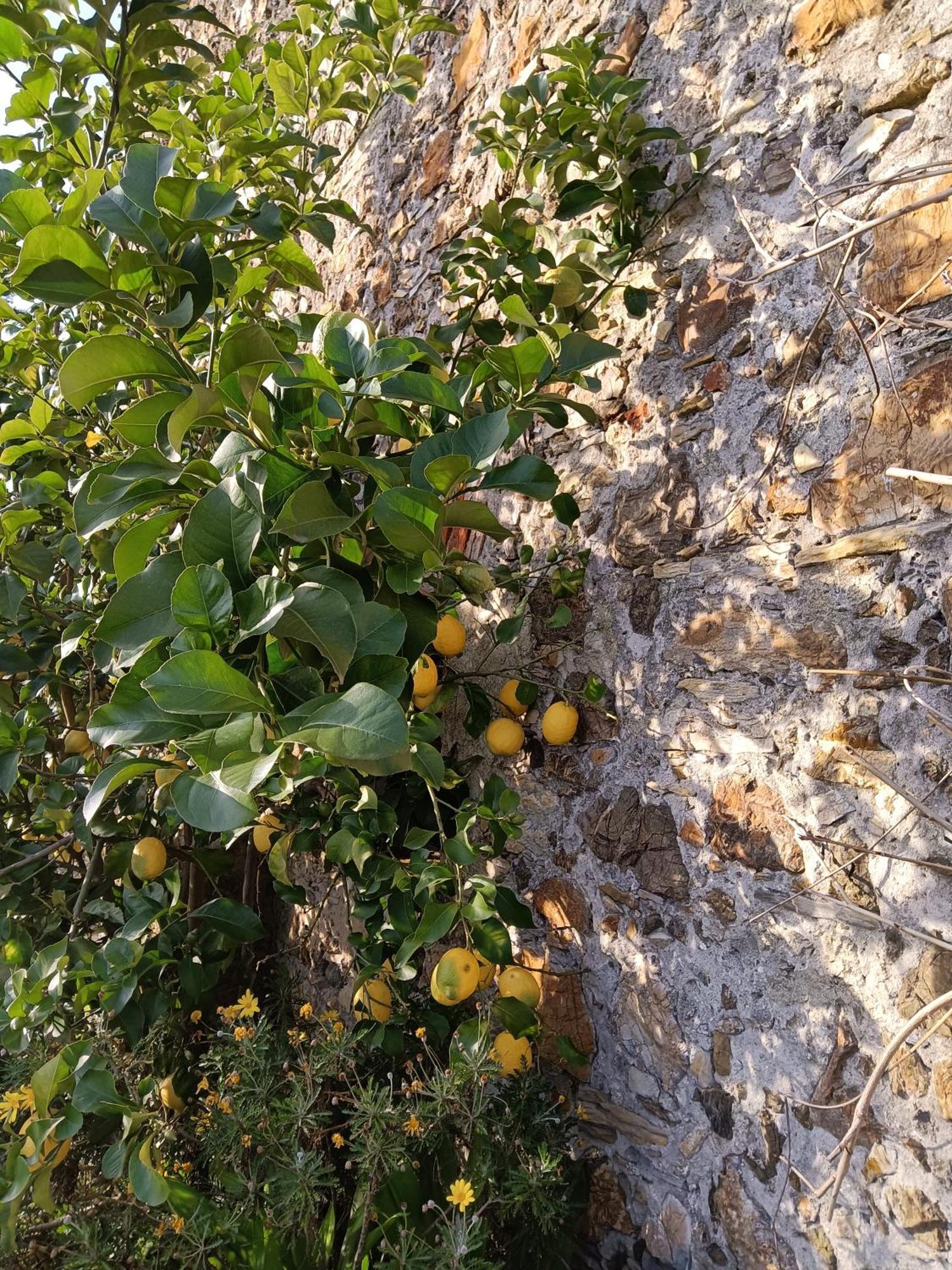 Il Fontolo Villa Ponzano Superiore Buitenkant foto