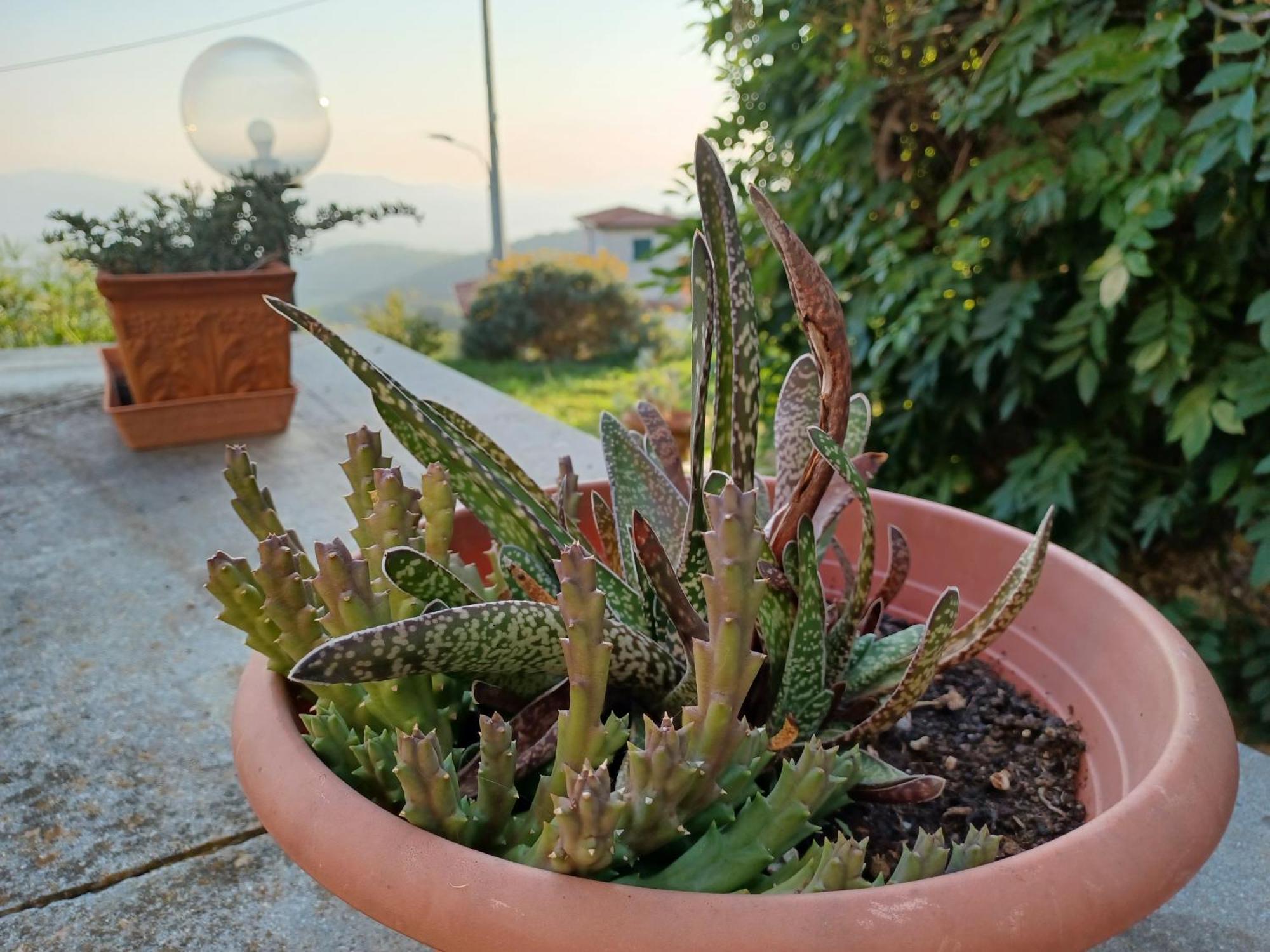 Il Fontolo Villa Ponzano Superiore Buitenkant foto