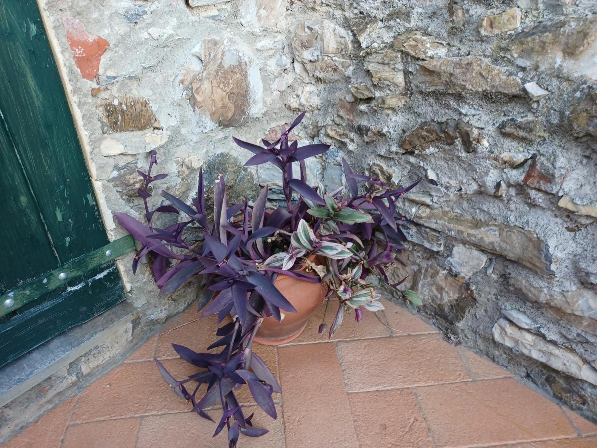 Il Fontolo Villa Ponzano Superiore Buitenkant foto