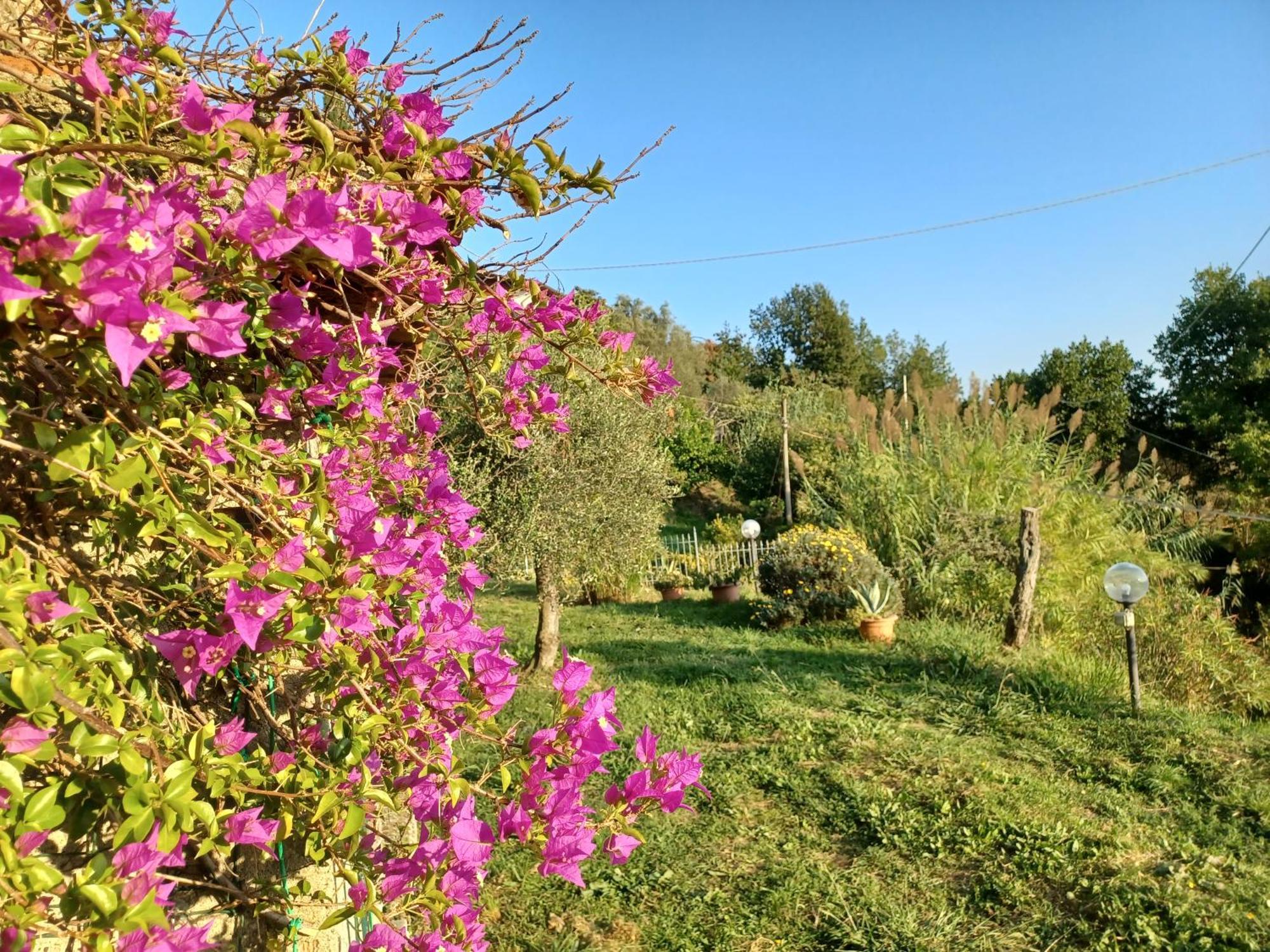 Il Fontolo Villa Ponzano Superiore Buitenkant foto