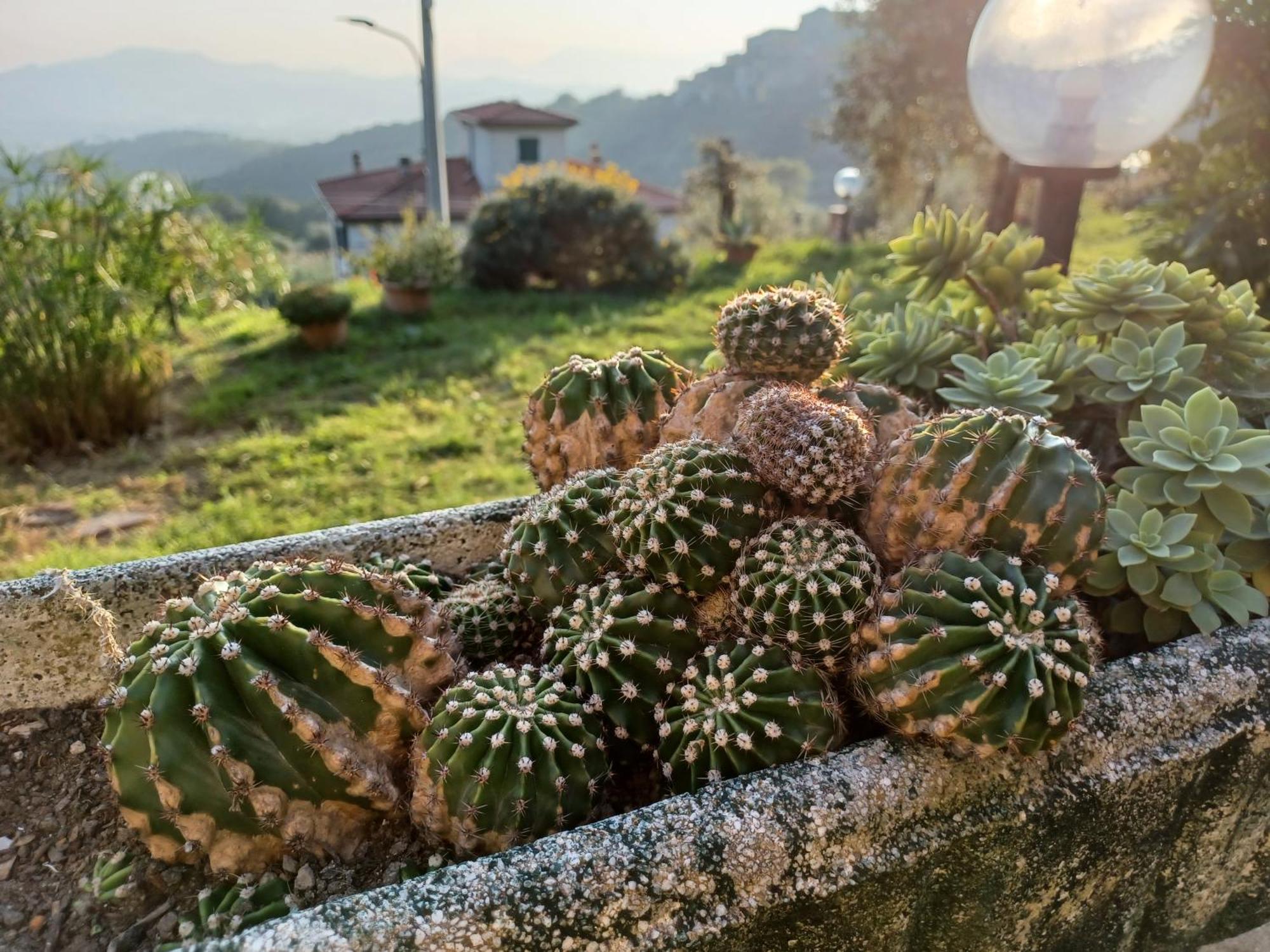 Il Fontolo Villa Ponzano Superiore Buitenkant foto